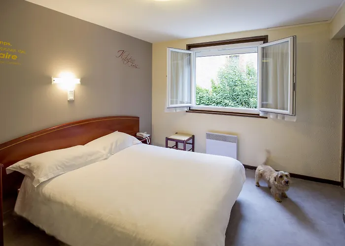 Cit'hotel De La Marne Tarbes