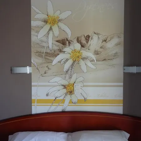 מלון Cit'hotel De La Marne טרבה