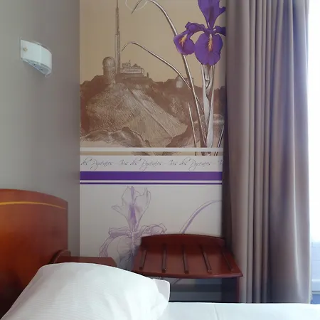 Cit'hotel De La Marne 2* Tarbes